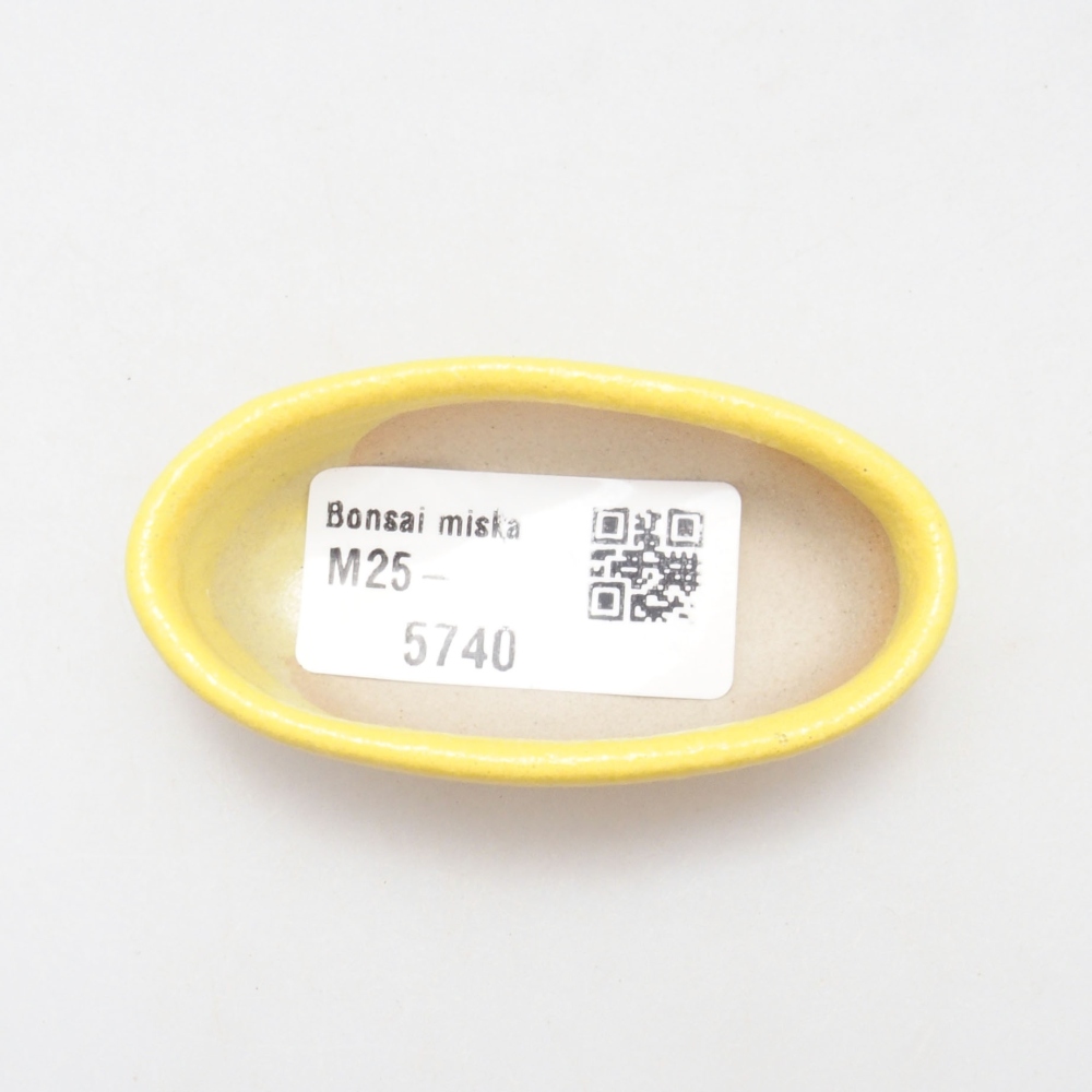 Ciotola per bonsai in ceramica 6,5 x 3,5 x 2 cm, giallo