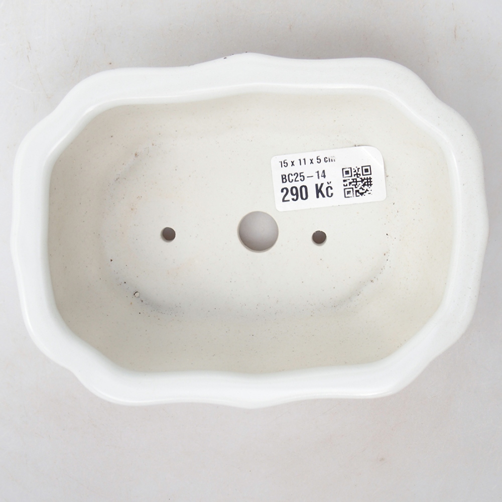 Ciotola per bonsai in ceramica 15 x 11 x 5 cm, colore bianco