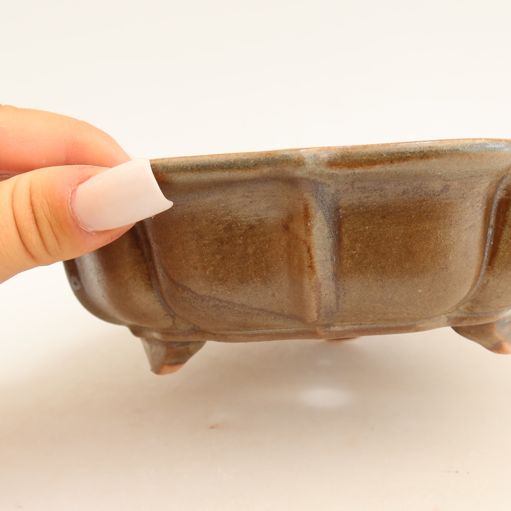 Ciotola per bonsai in ceramica 18,5 x 18,5 x 5 cm, marrone