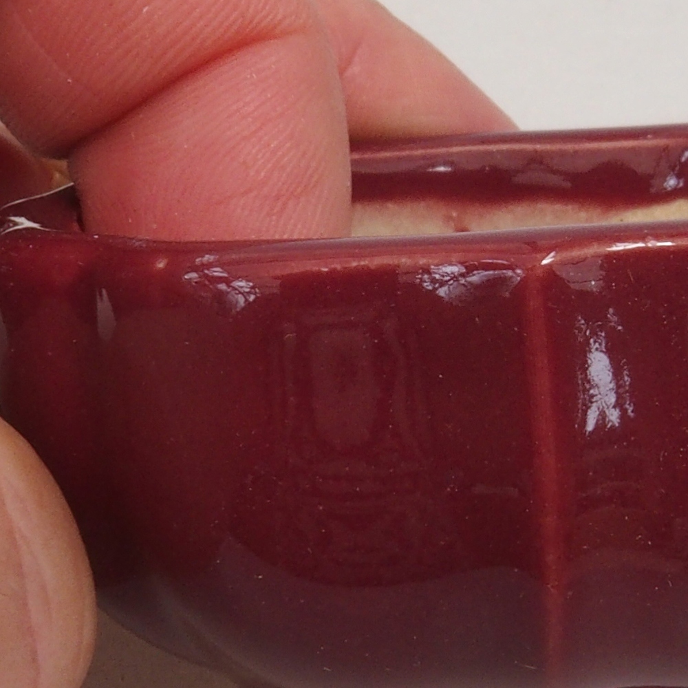 Mini bonsai 5,5 x 5,5 x 2,5 cm, bordeaux