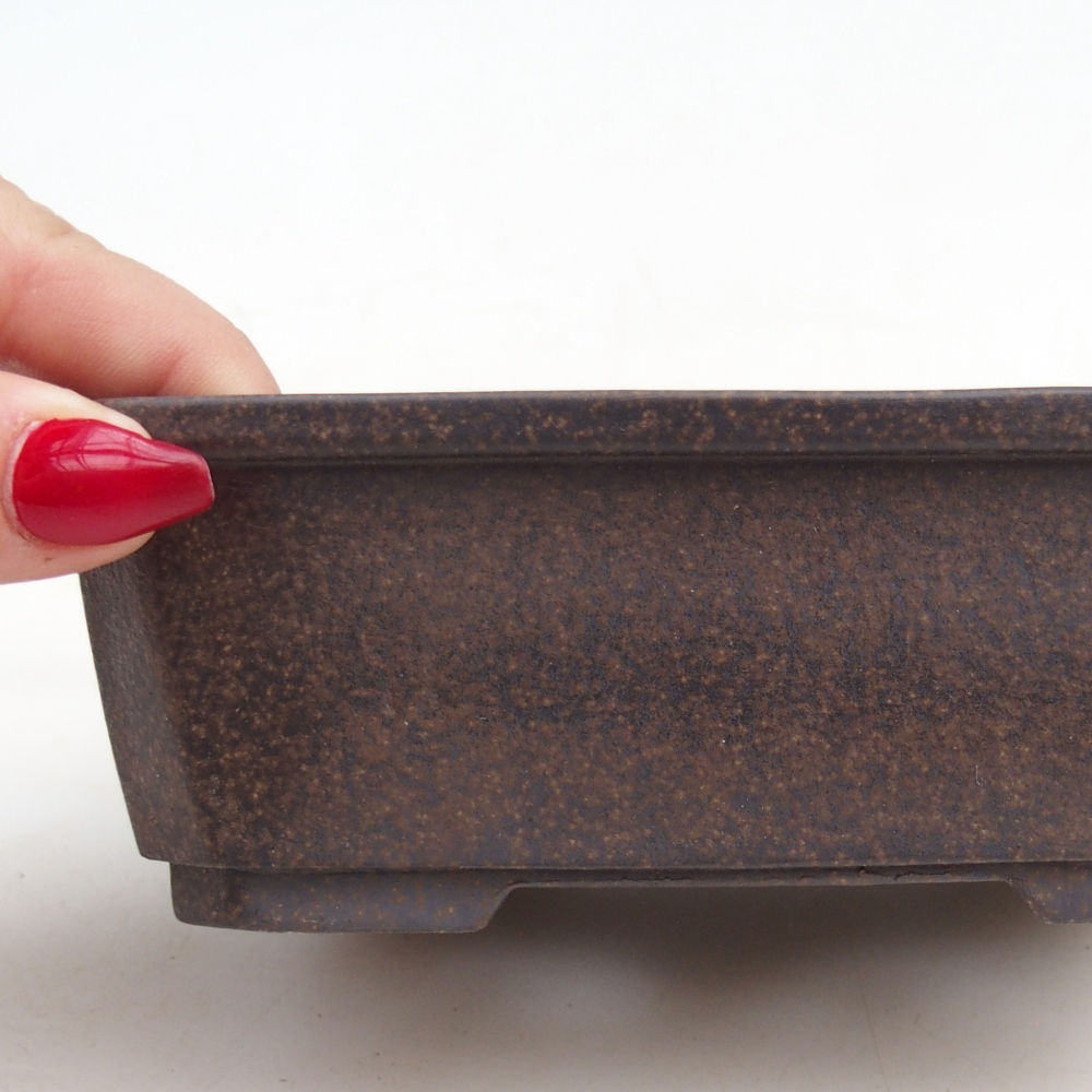 Ciotola per bonsai in ceramica 15 x 11 x 5 cm, marrone ocra