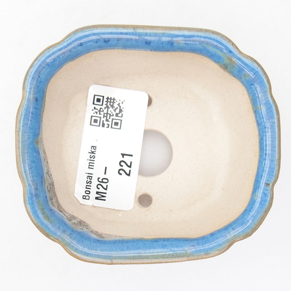 Mini bonsai 7,5 x 7 x 3 cm, colore blu