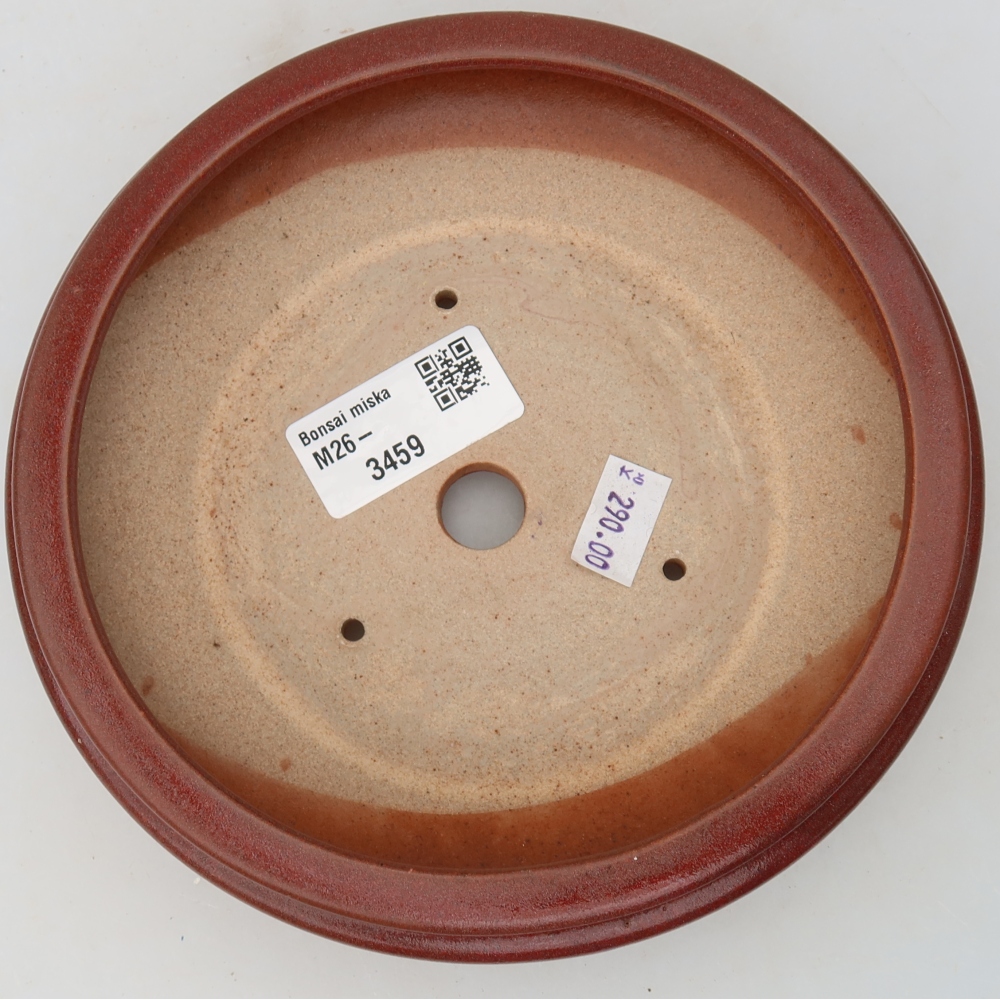 Vaso da bonsai in ceramica 15 x 15 x 5 cm, colore bordeaux
