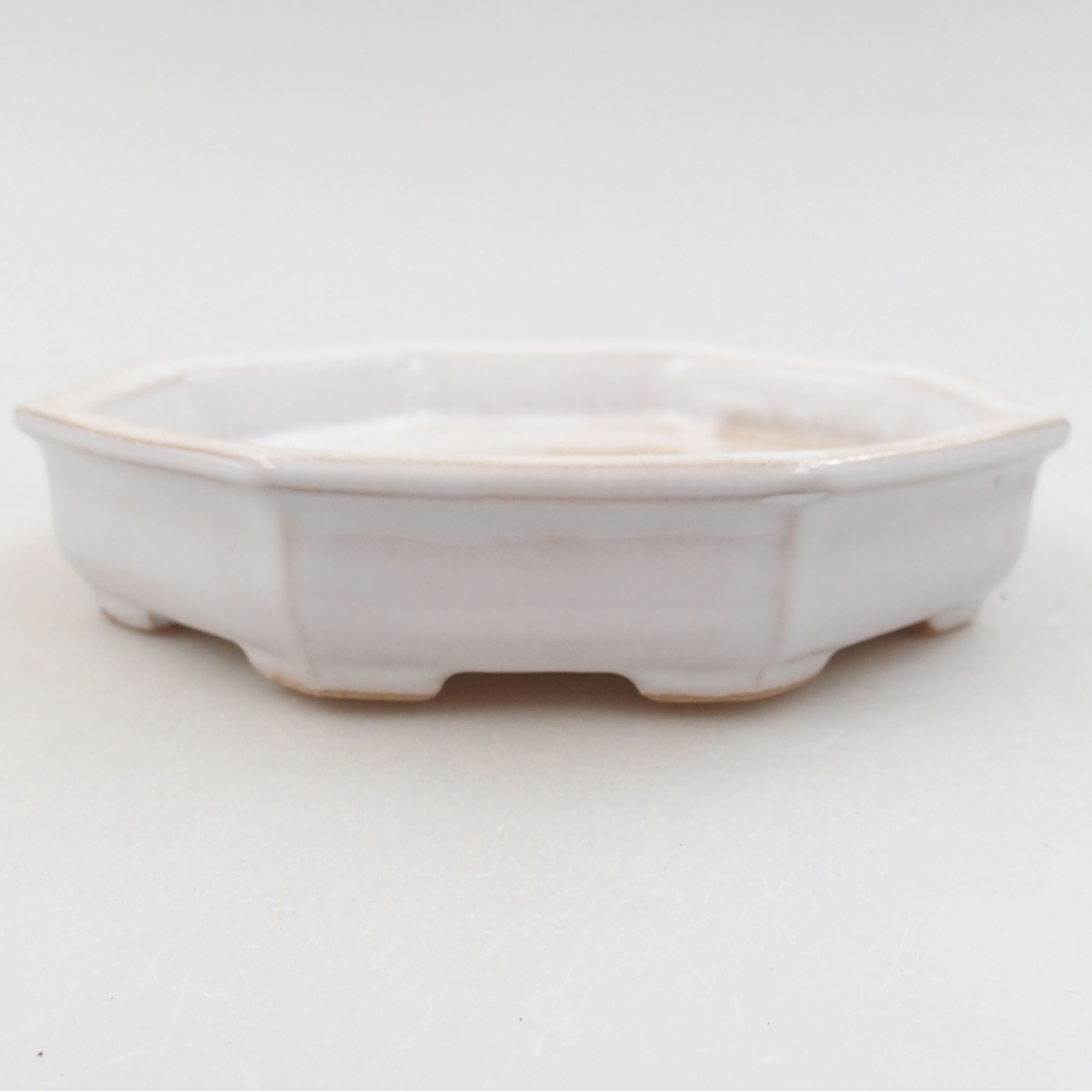 Ciotola bonsai in ceramica 22 x 17 x 5 cm, verde