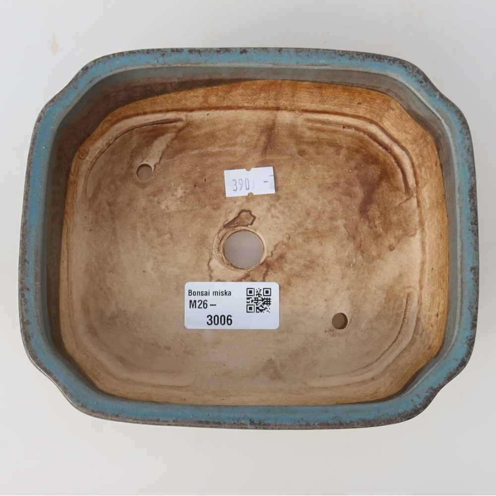 Vaso da bonsai in ceramica 17,5 x 14,5 x 5 cm, colore blu