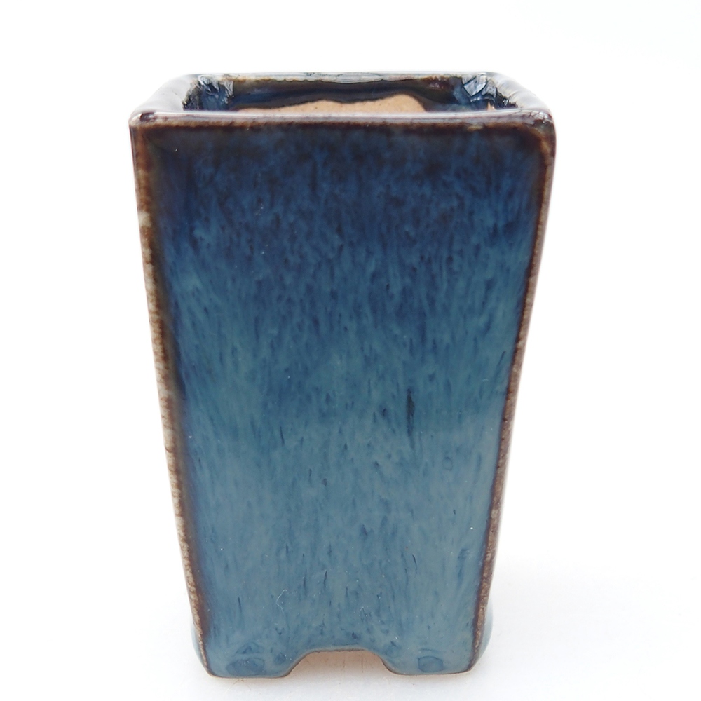 Mini bonsai 3,5 x 3,5 x 5 cm, colore blu