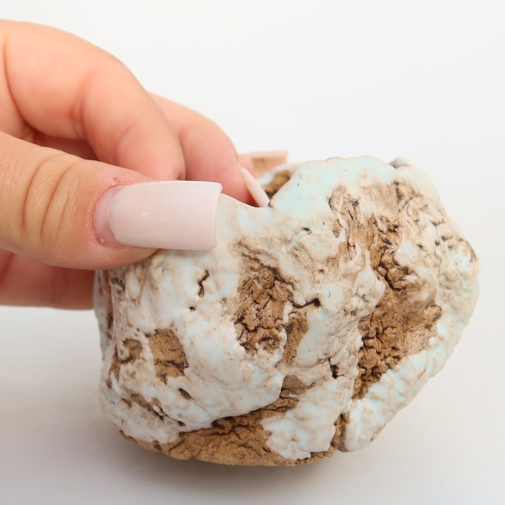 Guscio in ceramica  7 x 7 x 6 cm, colore bianco-marrone