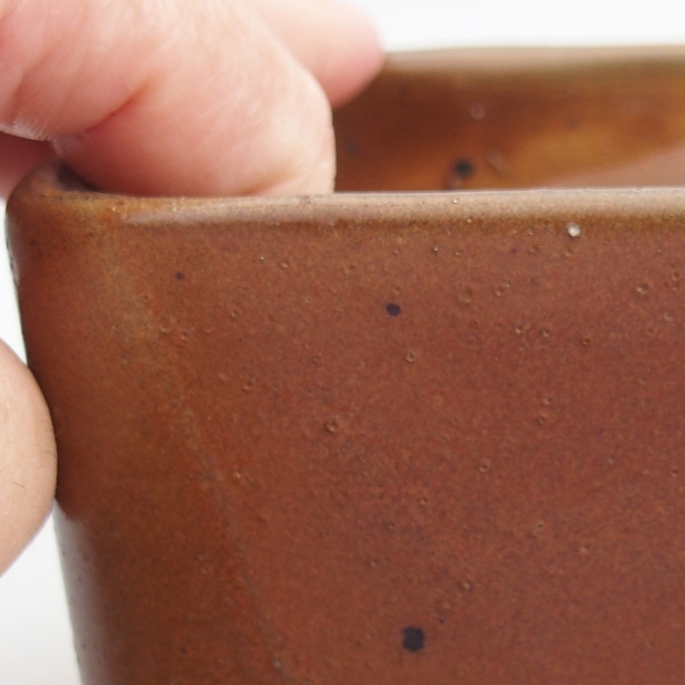 Ciotola per bonsai in ceramica 10 x 10 x 8 cm, marrone