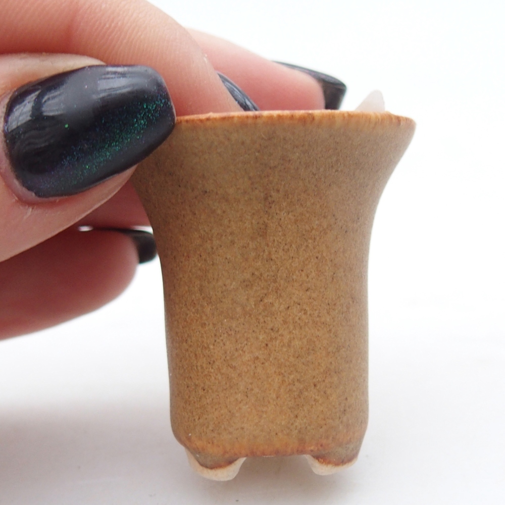 Mini bonsai 3 x 3 x 3,5 cm, marrone