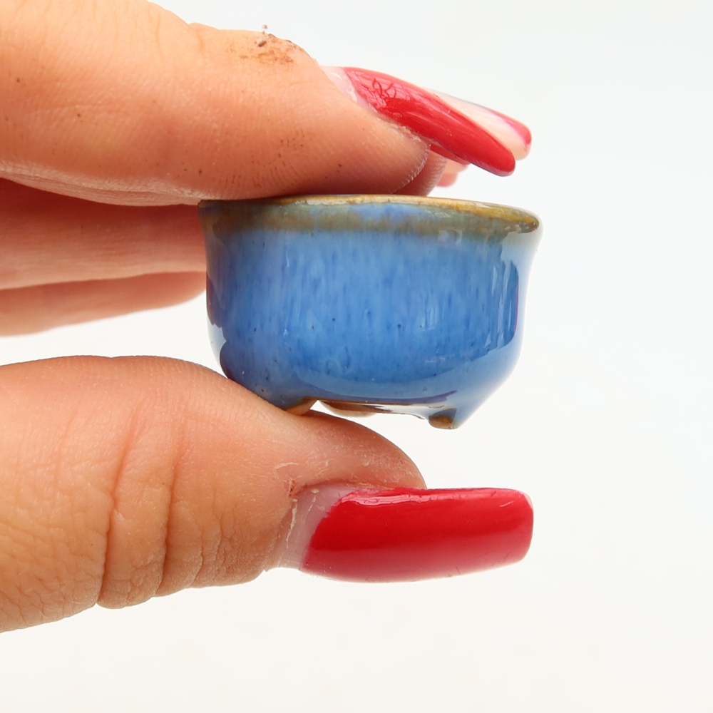 Vaso da bonsai in ceramica 2,5 x 2,5 x 2 cm, colore blu