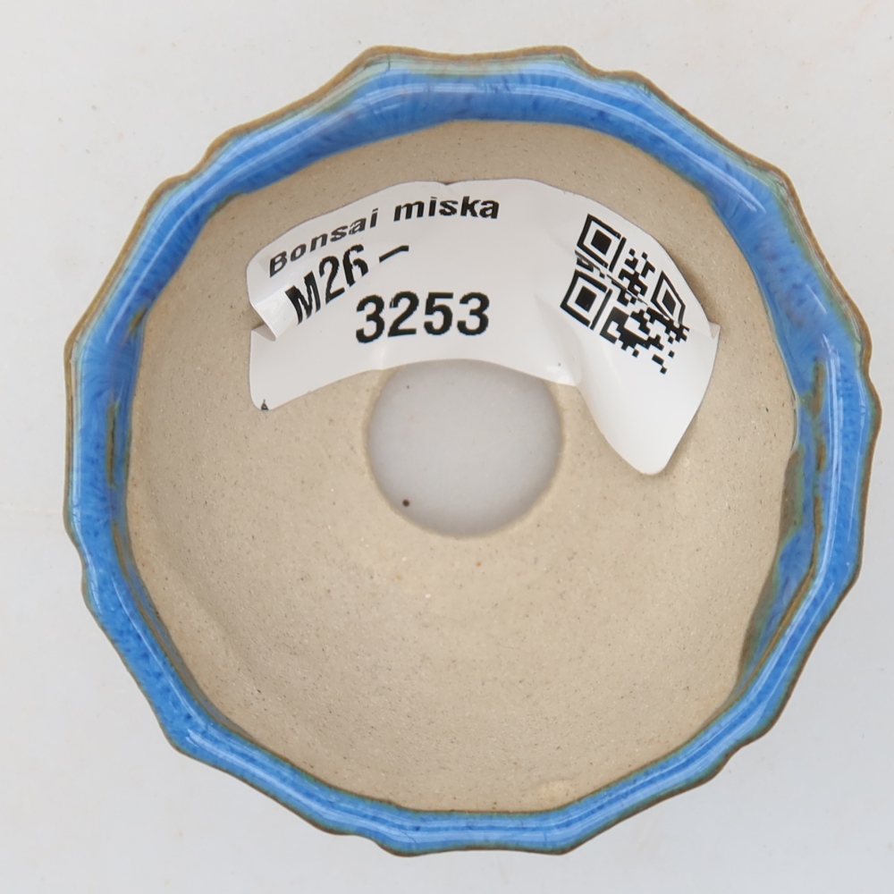 Vaso da bonsai in ceramica 5,5 x 5,5 x 3,5 cm, colore blu