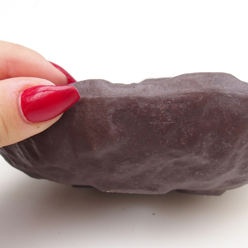 Conchiglia in ceramica 15 x 11 x 6,5 cm , colore marrone