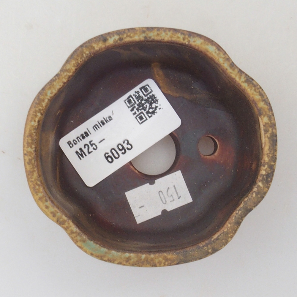 Ciotola per bonsai in ceramica 10 x 8,5 x 4 cm, marrone
