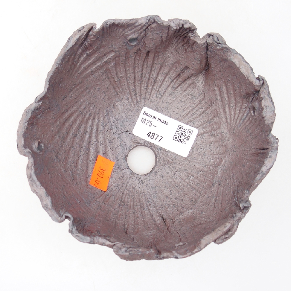 Conchiglia in ceramica 13,5 x 13 x 7 cm , colore metallizzato