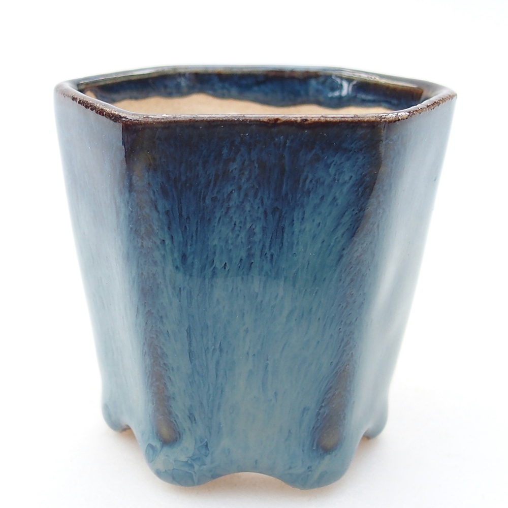 Mini bonsai 5,5 x 5 x 5 cm, colore blu