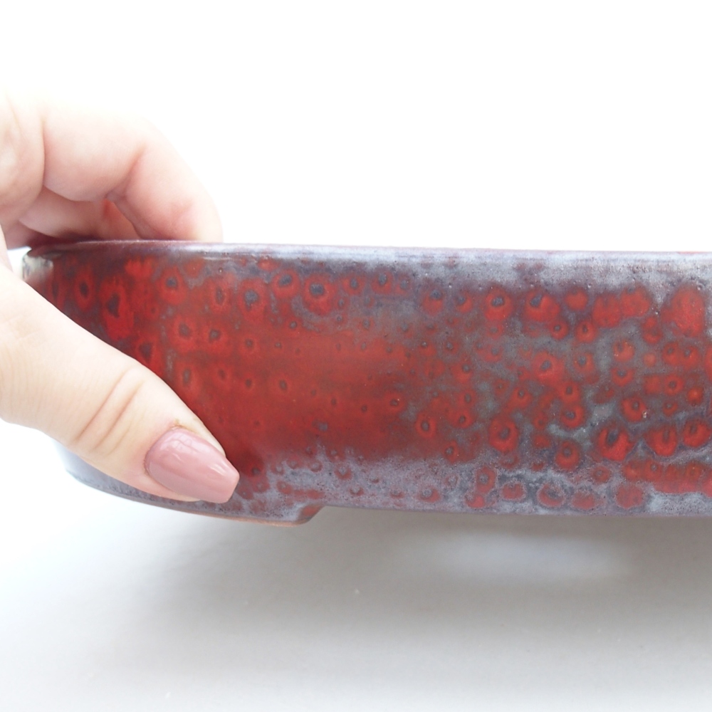 Ciotola per bonsai in ceramica 26,5 x 21 x 5 cm, colore rosso