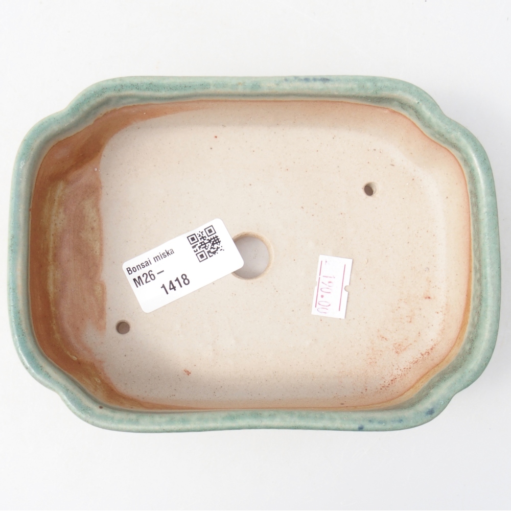 Ciotola per bonsai in ceramica 16 x 11,5 x 4 cm, verde