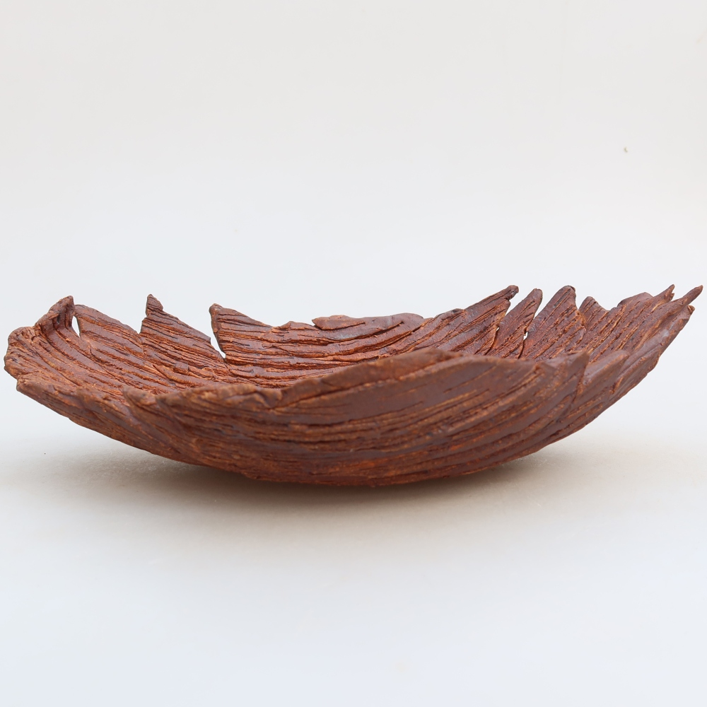 Conchiglia in ceramica  24 x 17 x 6,5 cm, colore marrone