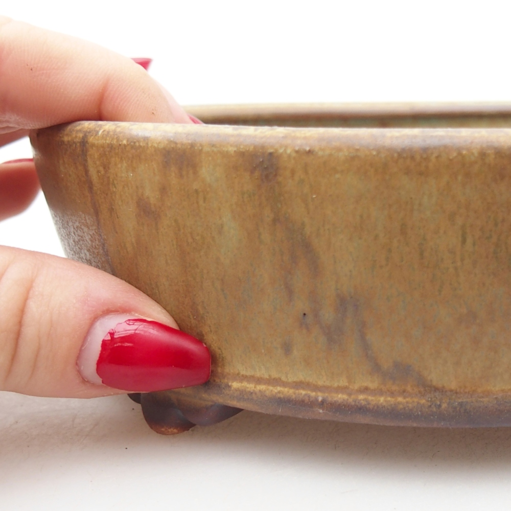 Ciotola per bonsai in ceramica 15,5 x 15,5 x 5 cm, verde