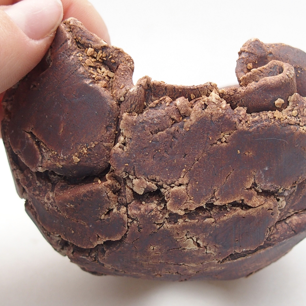 Conchiglia in ceramica 9 x 8,5 x 6,5 cm , colore marrone