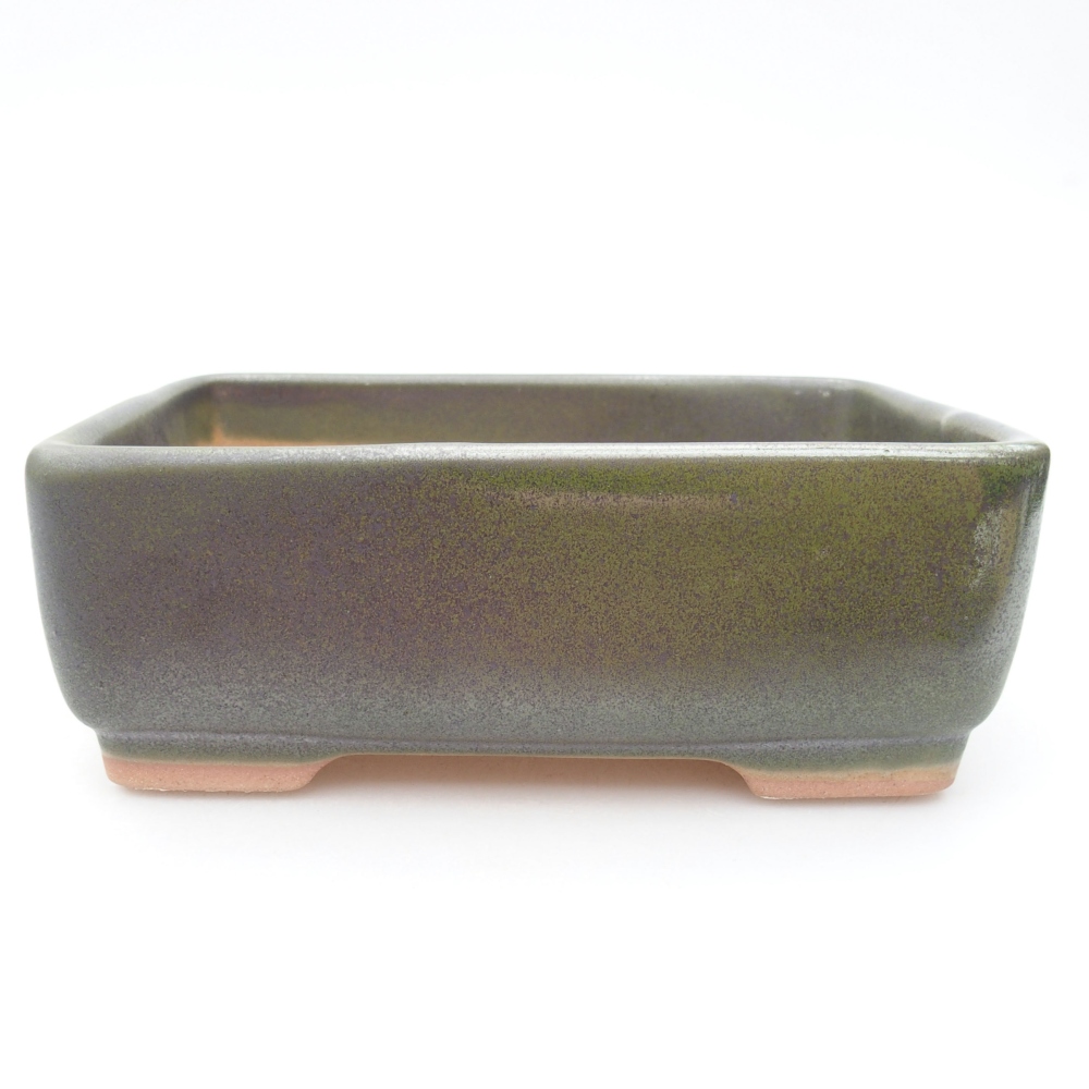 Ciotola bonsai in ceramica 15 x 11 x 5,5 cm, verde