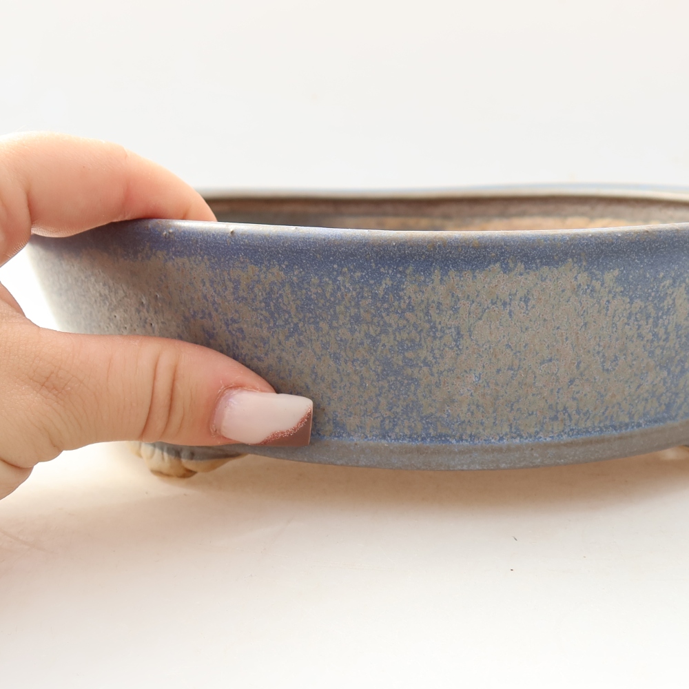 Vaso da bonsai in ceramica 21,5 x 21,5 x 6 cm, colore blu