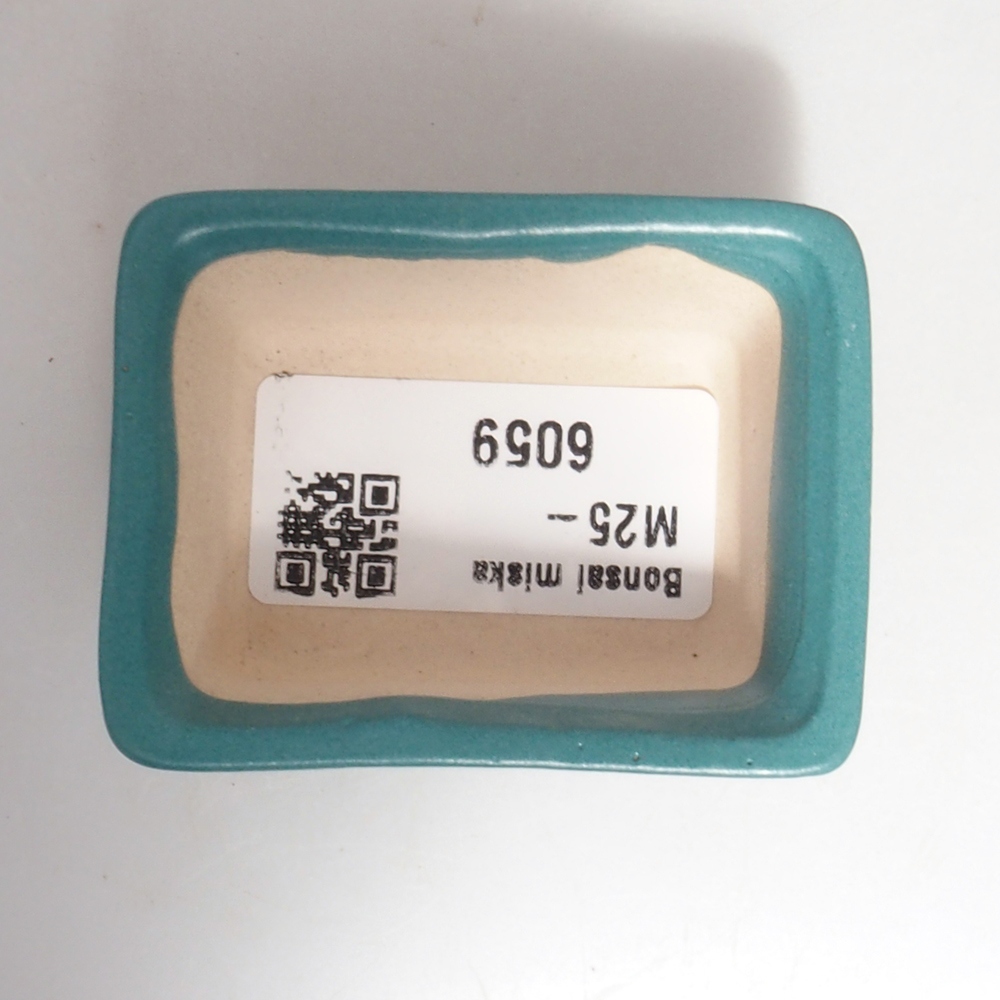 Ciotola bonsai in ceramica 6,5 x 5,5 x 4 cm, colore blu