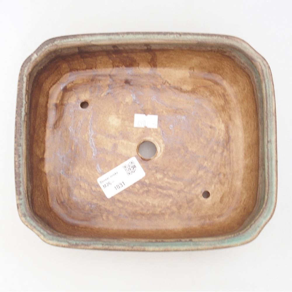 Ciotola bonsai in ceramica 21 x 18 x 6 cm, verde