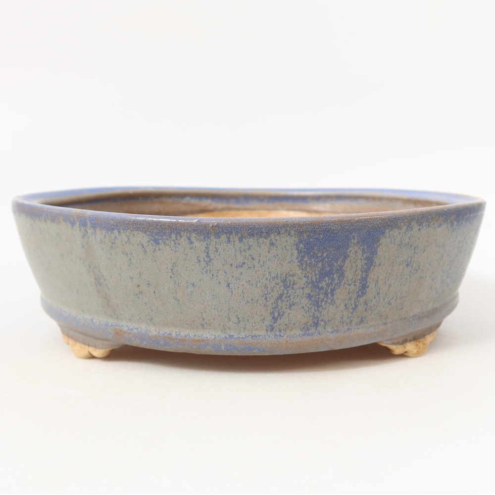 Vaso da bonsai in ceramica 21,5 x 21,5 x 6 cm, colore blu