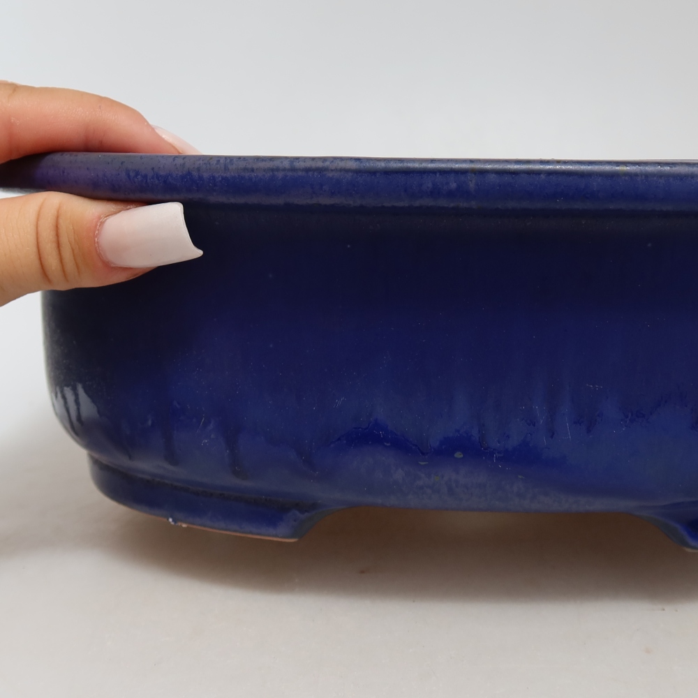 Ciotola bonsai in ceramica 26 x 22 x 8 cm, colore blu