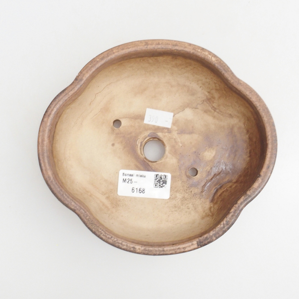 Ciotola per bonsai in ceramica 10 x 8,5 x 4 cm, marrone
