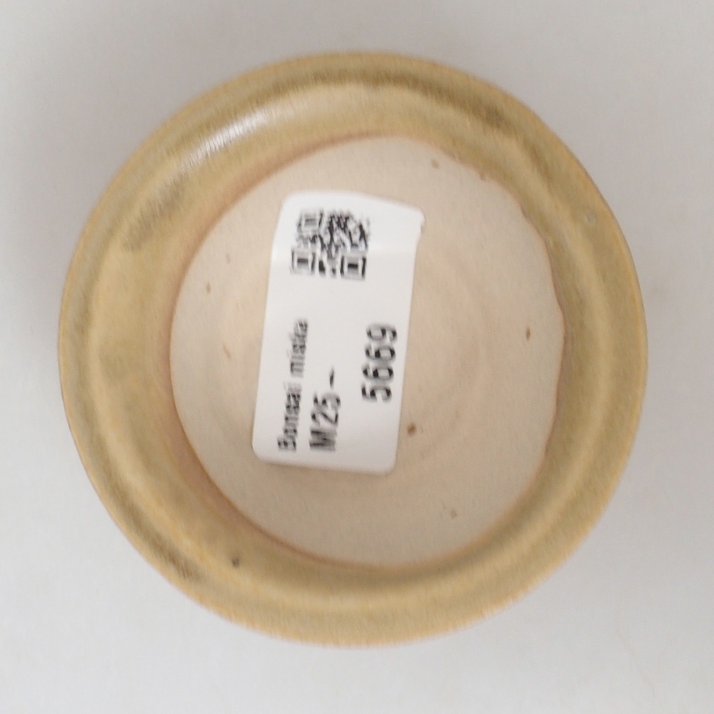 Mini bonsai 7 x 7 x 2,5 cm, marrone