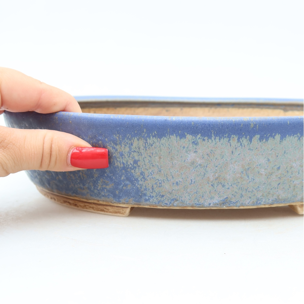 Vaso in ceramica per bonsai 27 x 24 x 5,5 cm, colore blu