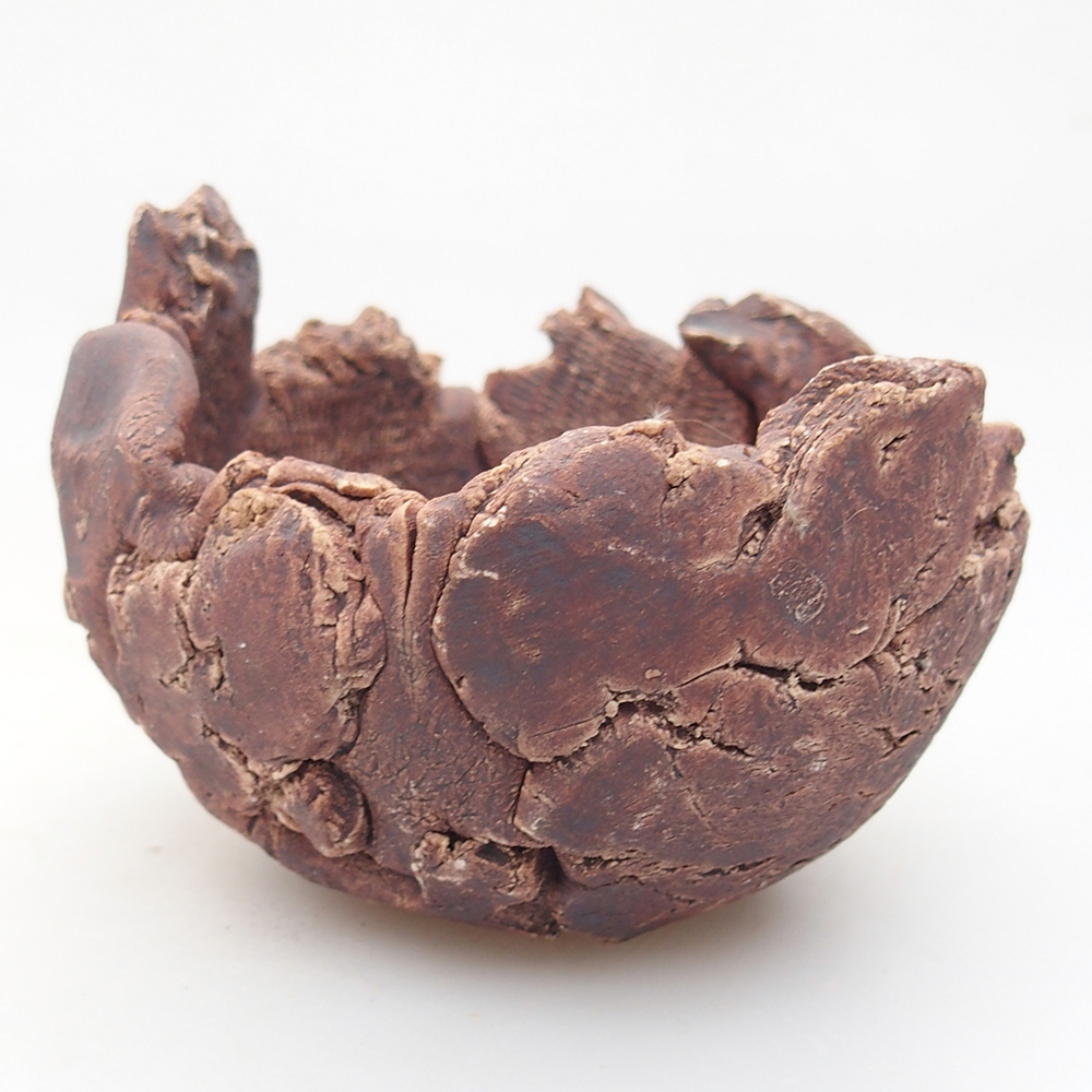 Conchiglia in ceramica 9,5 x 9 x 7 cm , colore marrone