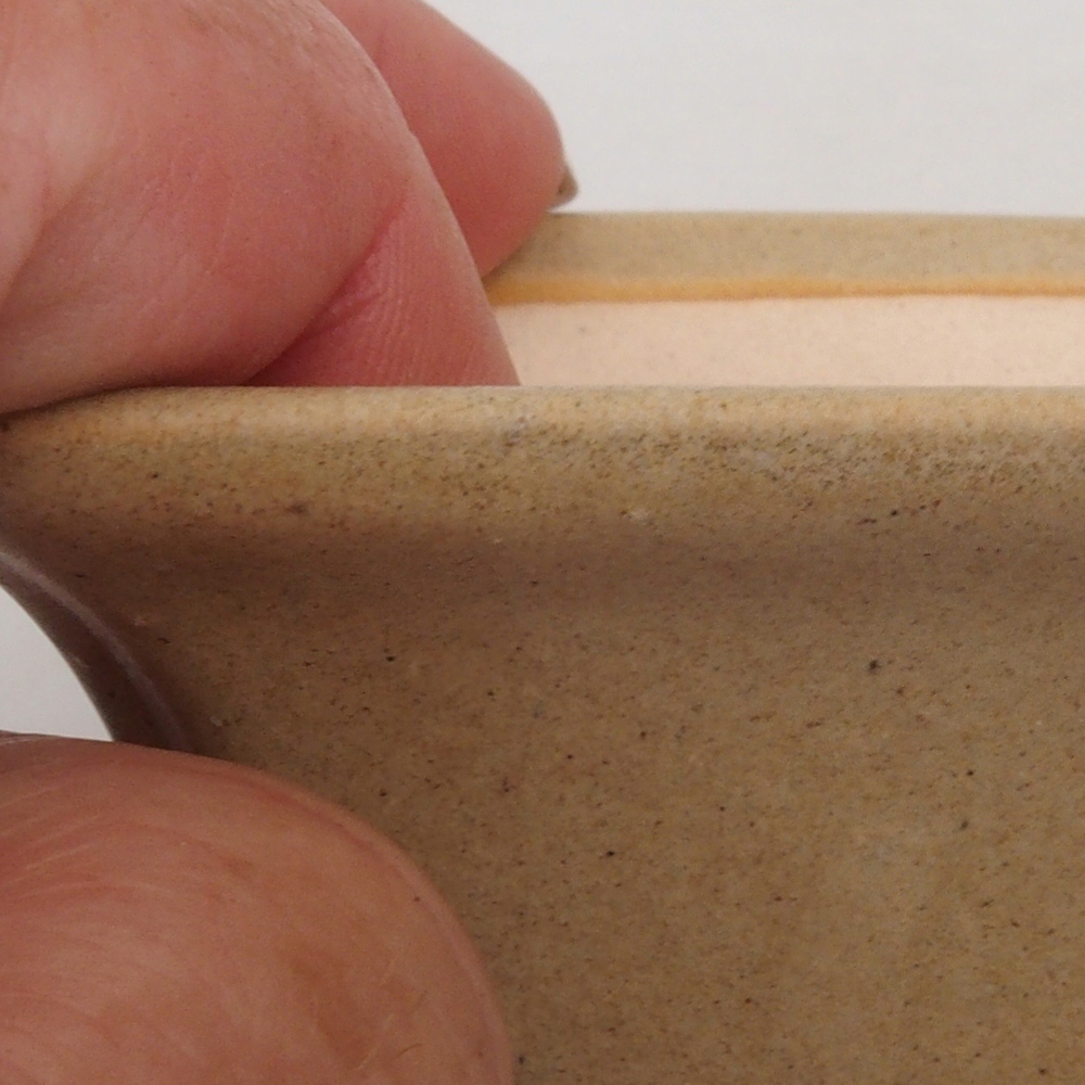 Mini bonsai 7,5 x 7,5 x 4,5 cm, marrone