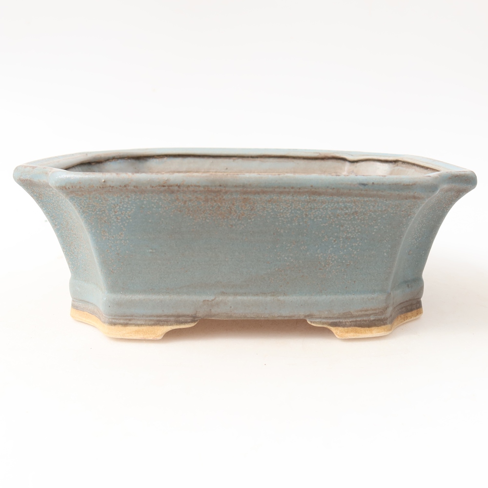 Vaso in ceramica per bonsai 18 x 15,5 x 6 cm, colore blu
