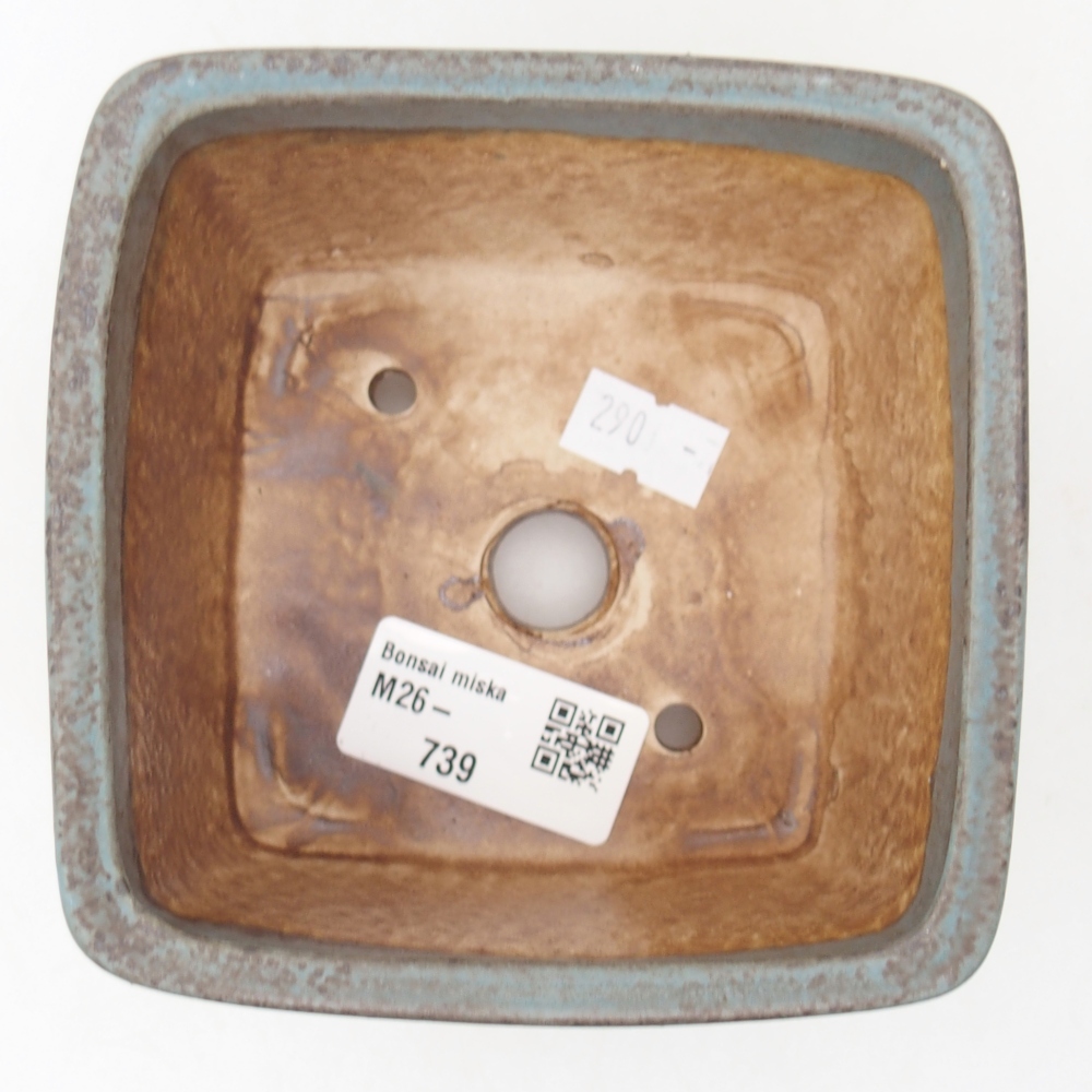 Ciotola bonsai in ceramica 11 x 11 x 7 cm, colore blu