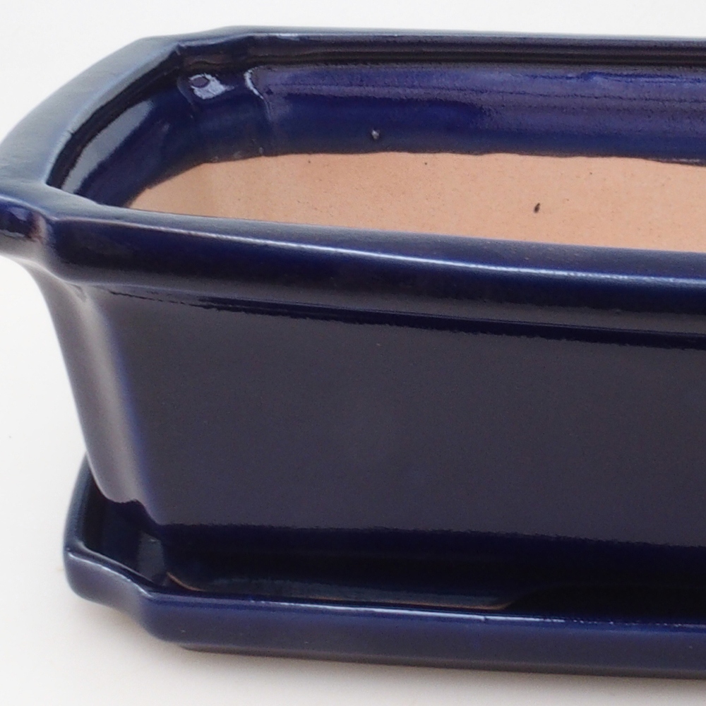 Ciotola bonsai + piattino H07 - 30 x 20,5 x 8 cm - blu