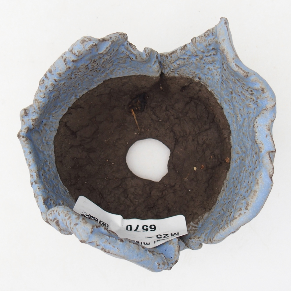 Conchiglia in ceramica 7 x 8 x 5,5 cm , colore blu