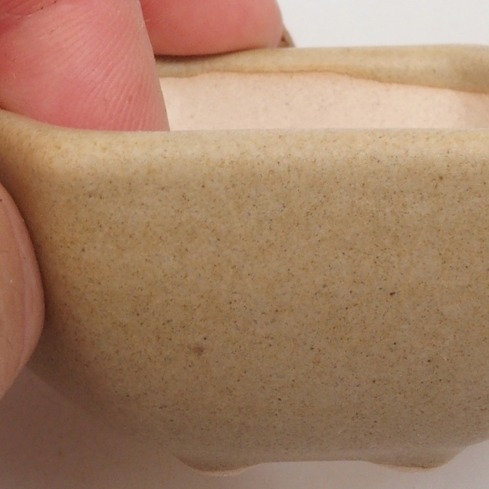 Mini bonsai 6,5 x 6 x 2,5 cm, marrone