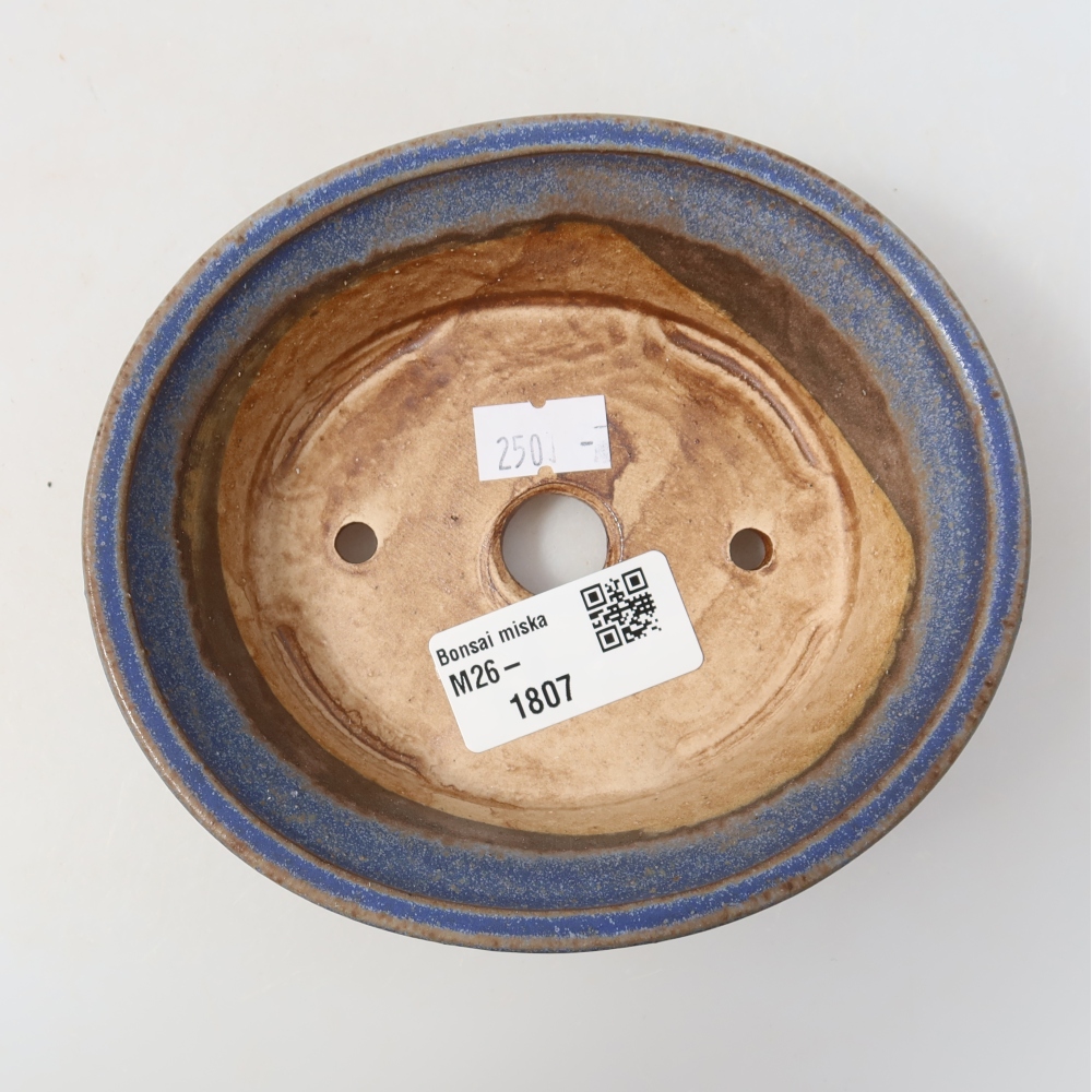 Ciotola bonsai in ceramica 12,5 x 11,5 x 4 cm, colore blu