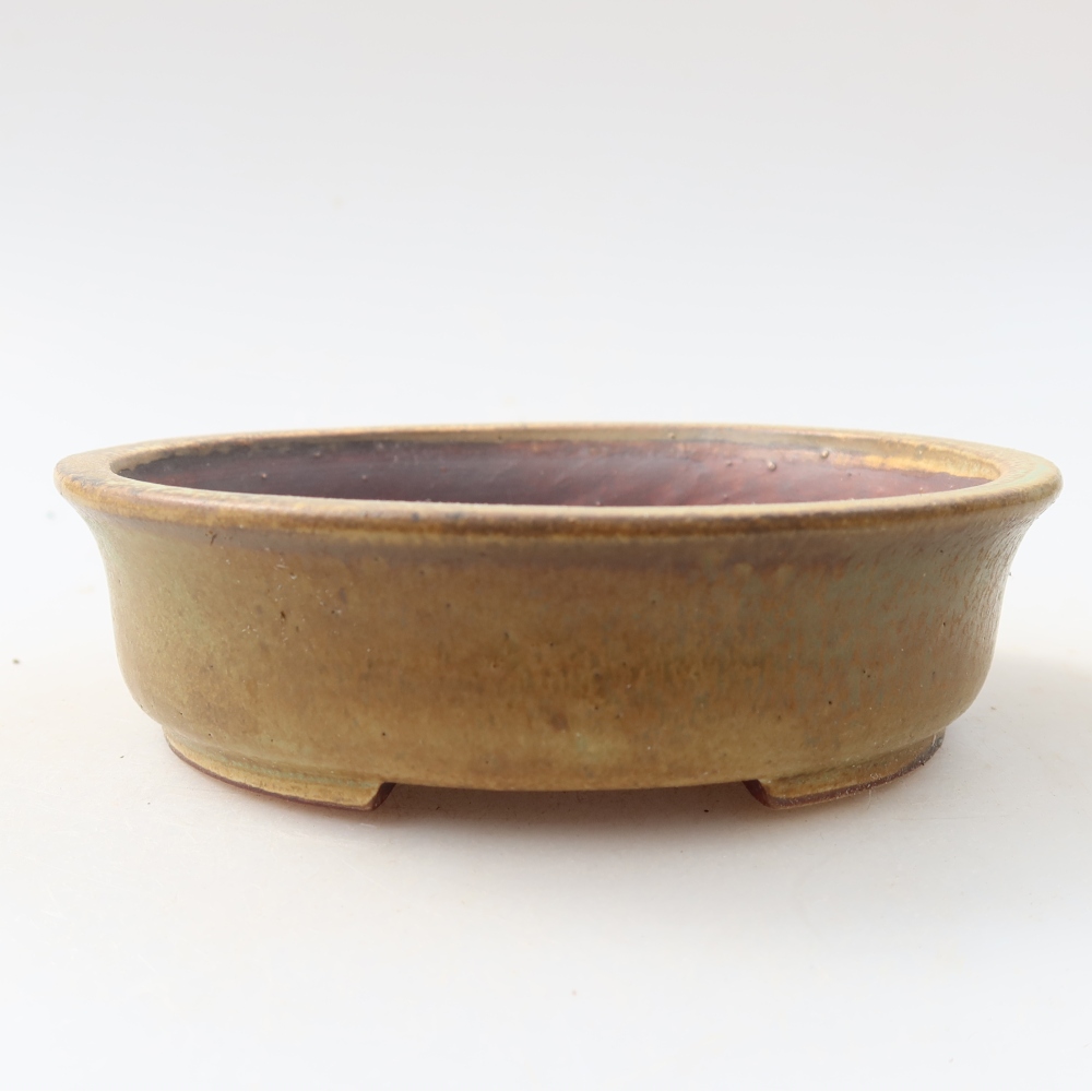 Vaso da bonsai in ceramica 12,5 x 11,5 x 3,5 cm, colore verde