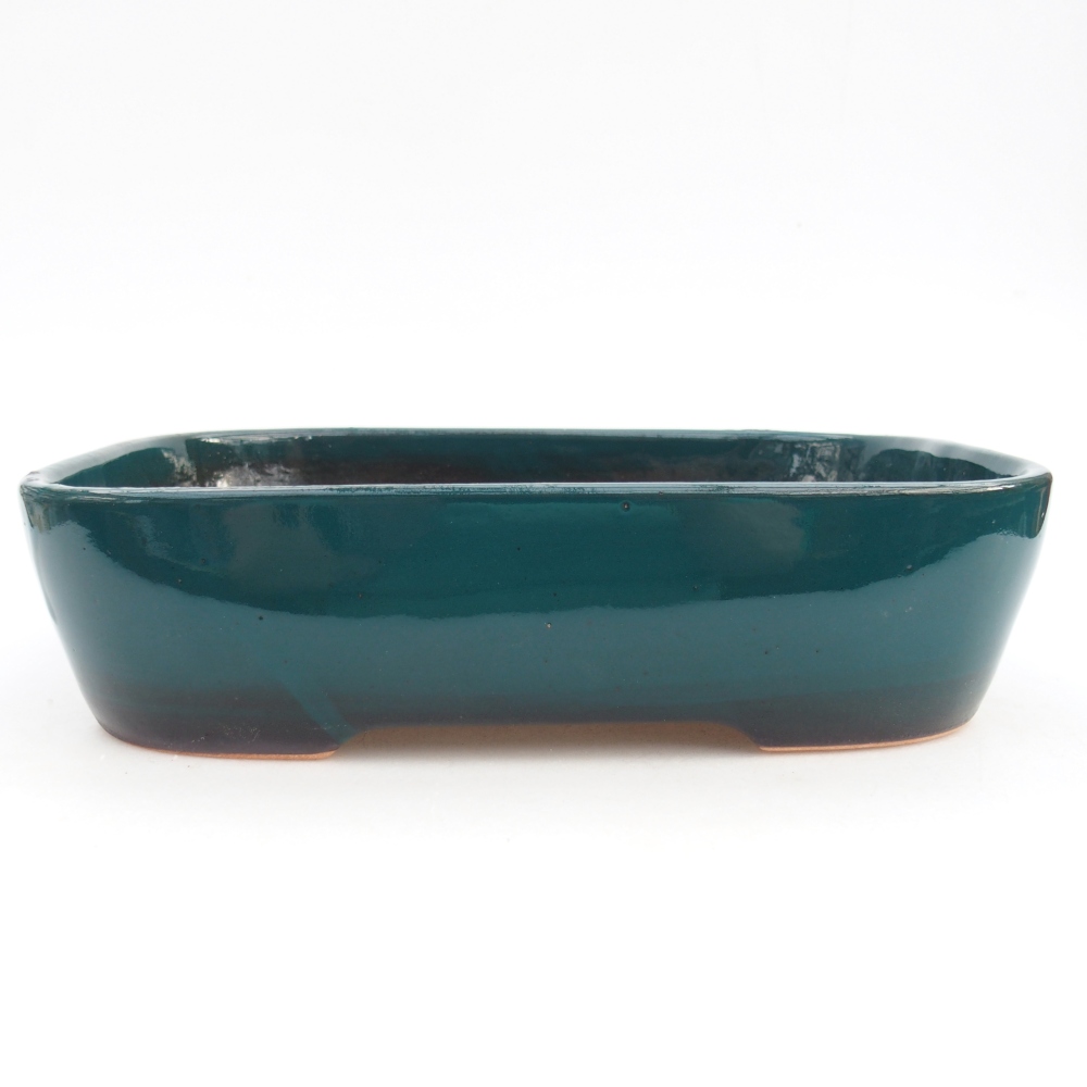 Ciotola bonsai in ceramica 23 x 18 x 5,5 cm, verde