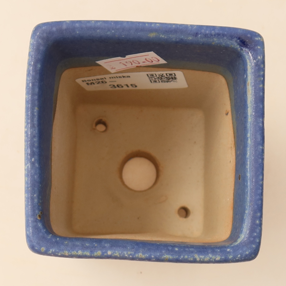 Vaso da bonsai in ceramica 7,5 x 7,5 x 10 cm, colore blu
