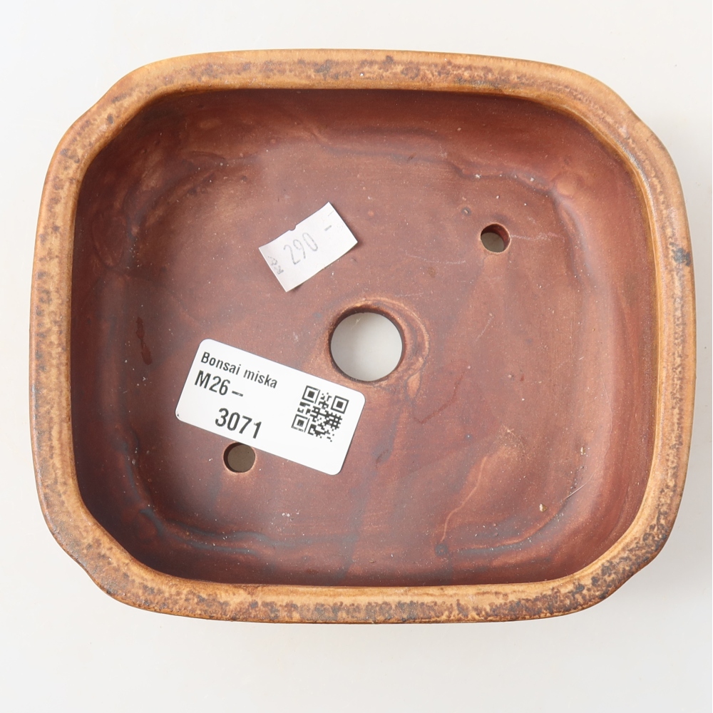Ciotola per bonsai in ceramica 13,5 x 12 x 4 cm, marrone