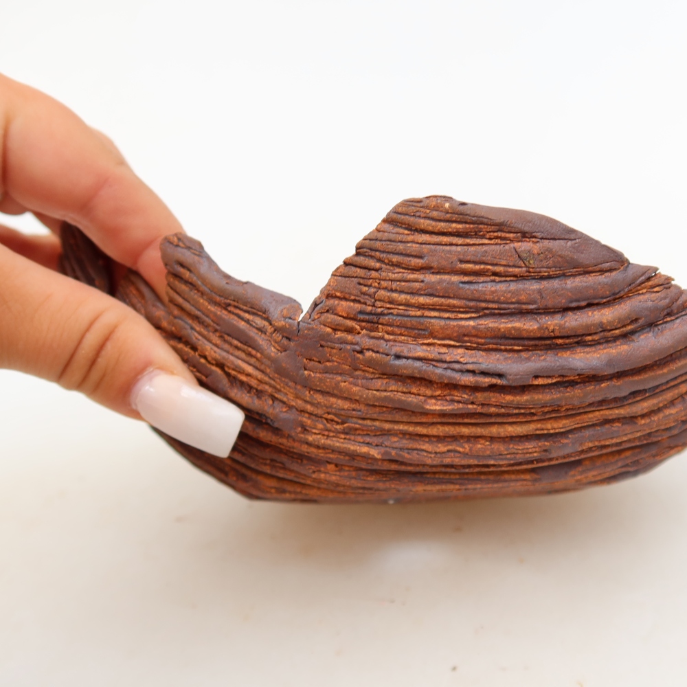 Conchiglia in ceramica  19 x 14 x 7 cm, colore marrone