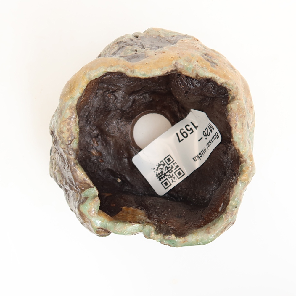 Guscio in ceramica  6 x 5 x 6 cm, colore verde