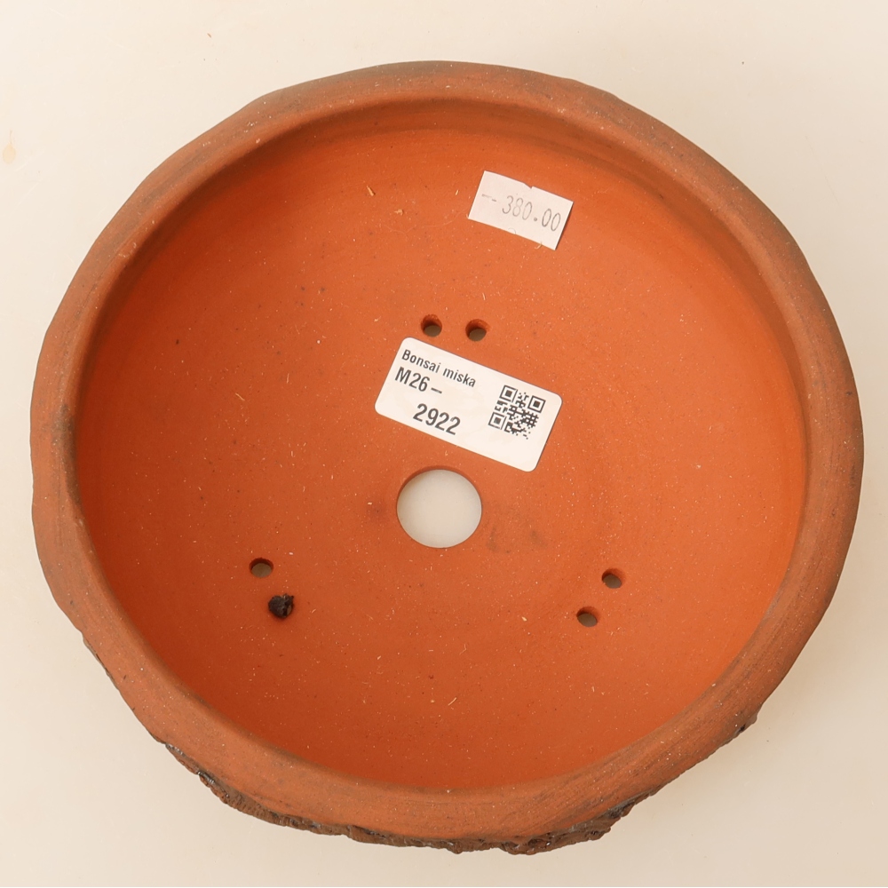Vaso da bonsai in ceramica 17 x 17 x 6 cm, colore marrone