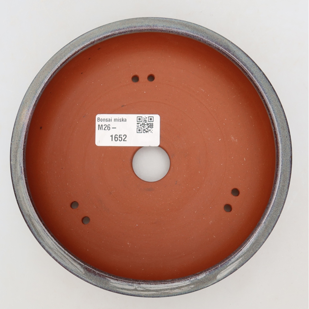 Vaso per bonsai in ceramica 16 x 16 x 5 cm, colore grigio