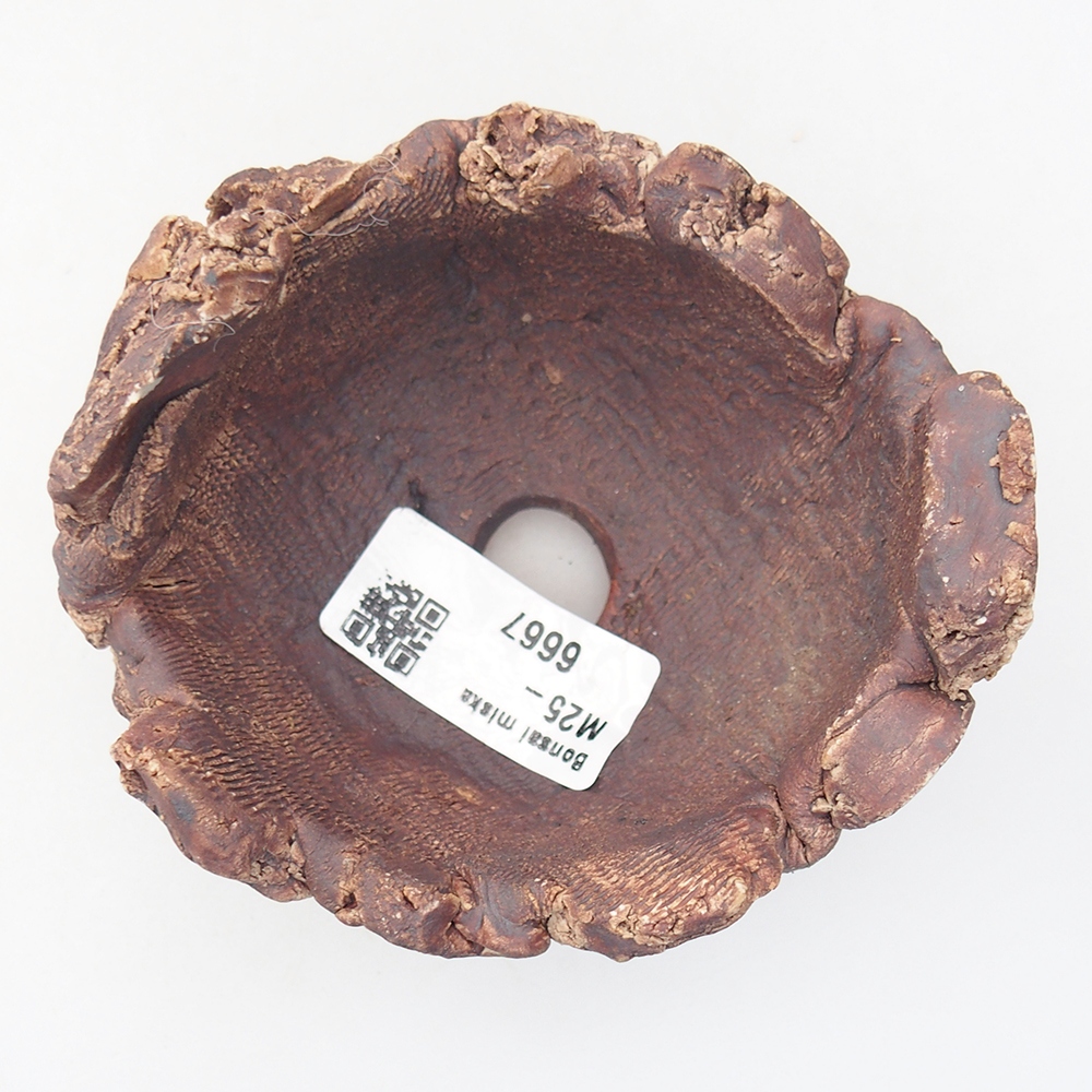 Conchiglia in ceramica 9 x 9 x 6 cm , colore marrone